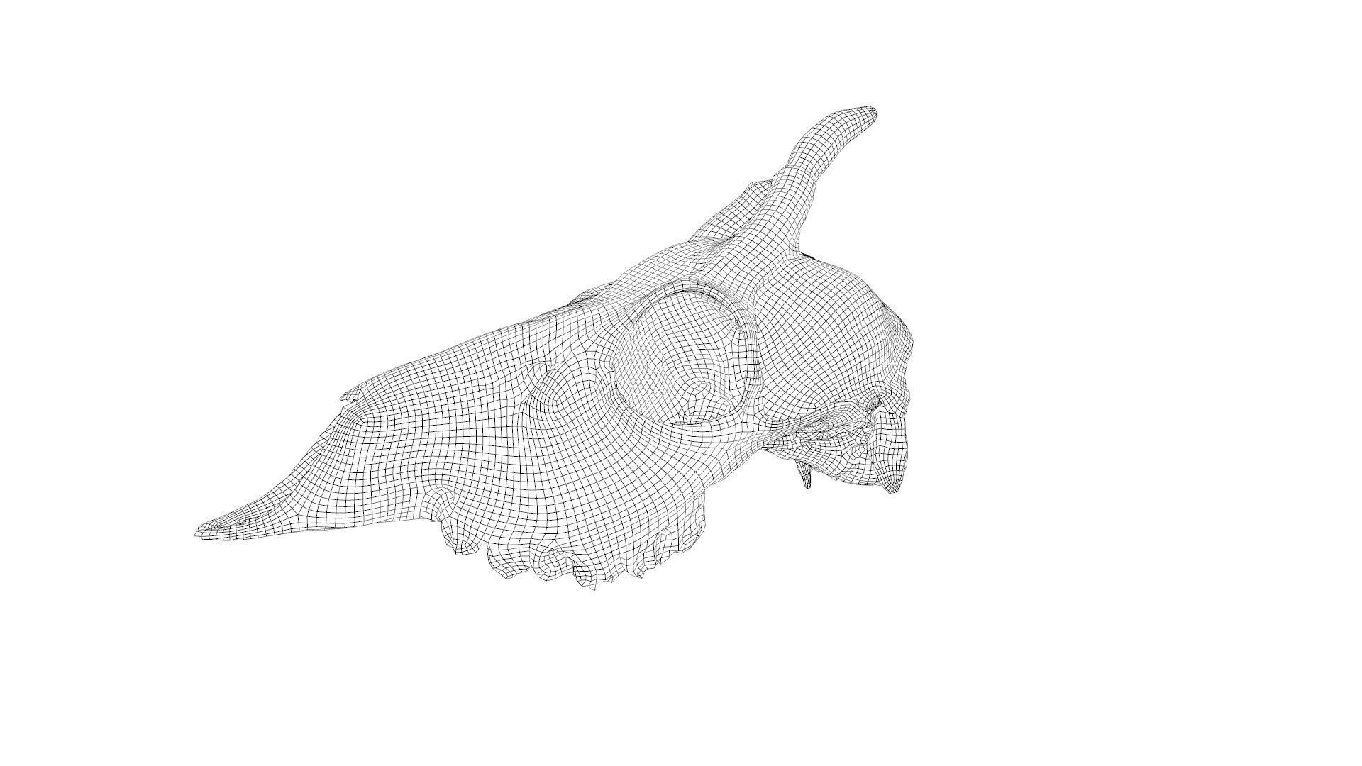 Skull - Deer Low-poly 3D model_34