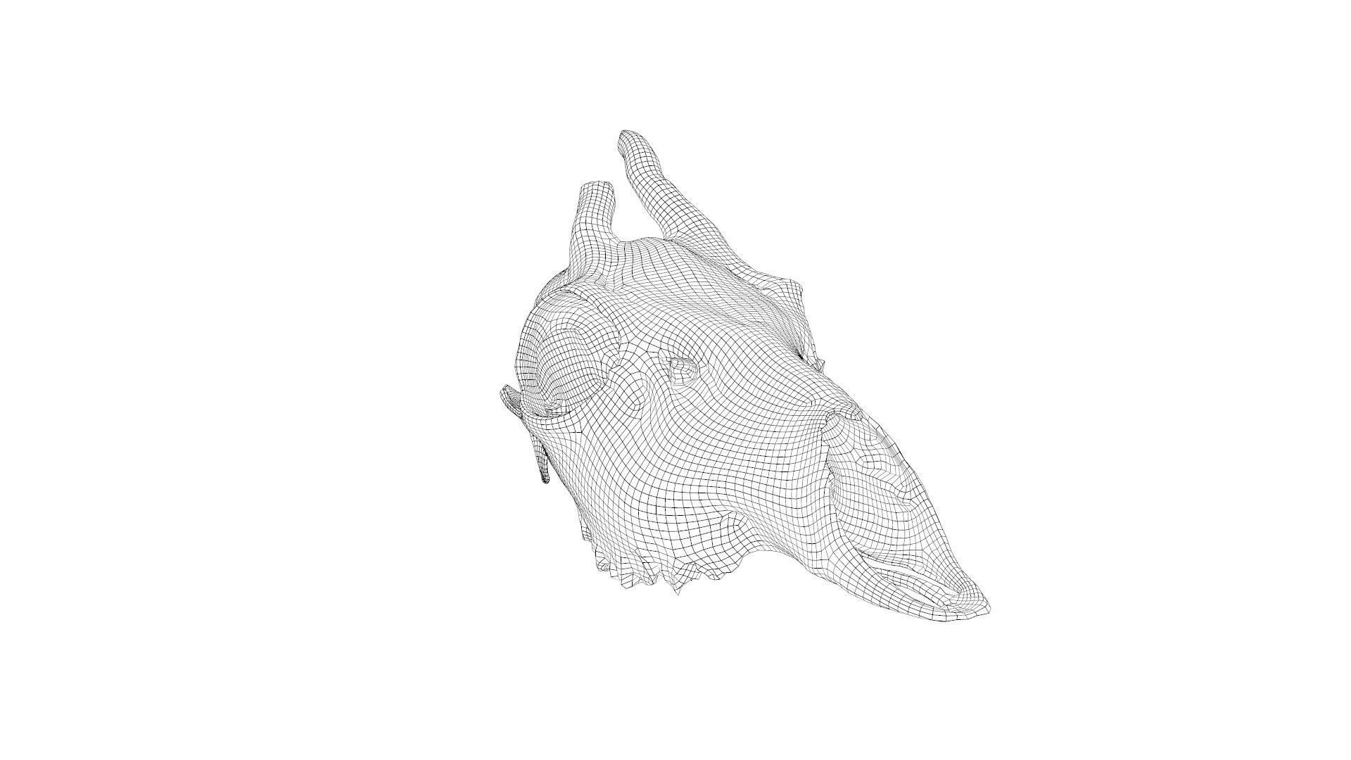 Skull - Deer Low-poly 3D model_25