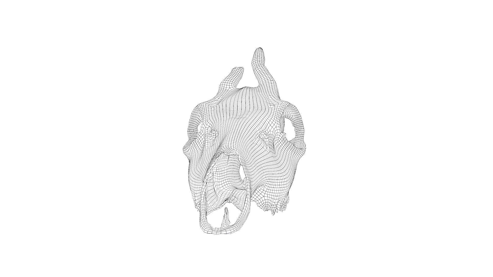 Skull - Deer Low-poly 3D model_36