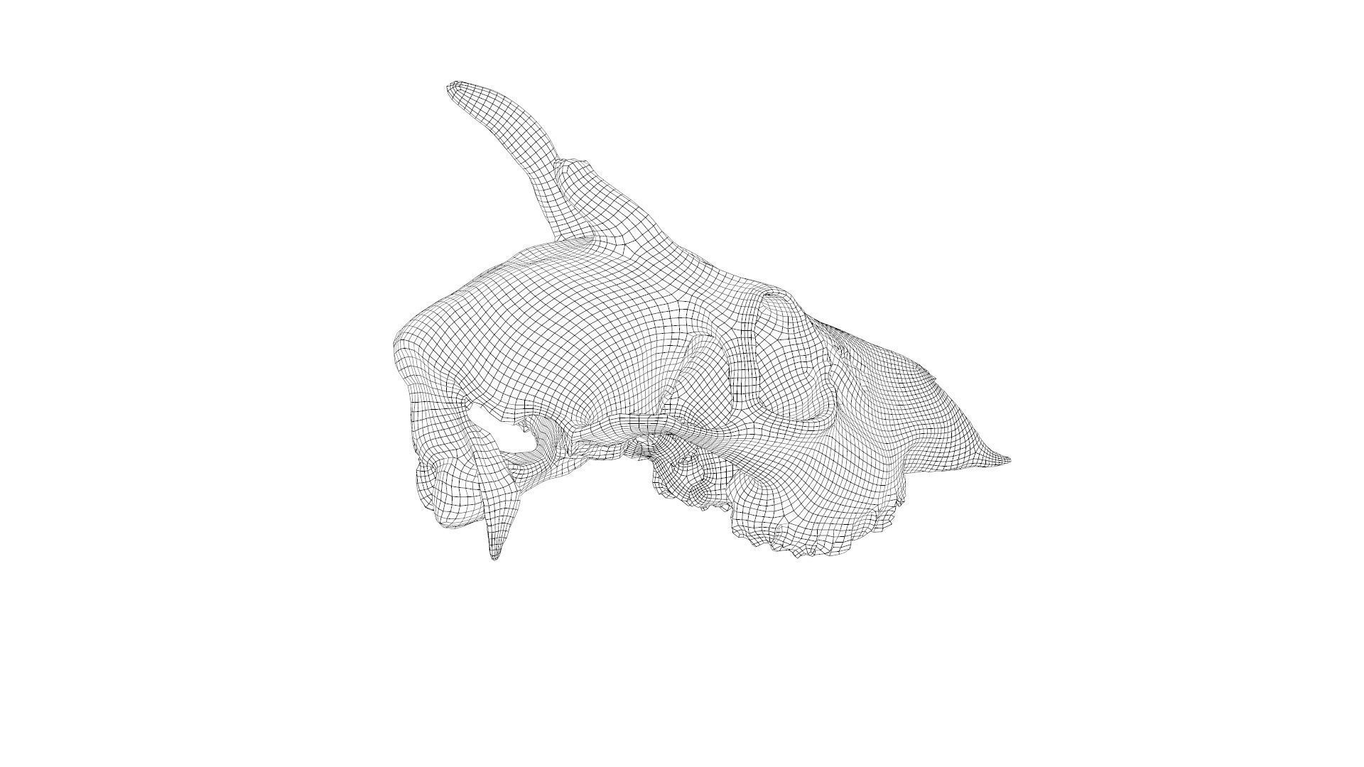 Skull - Deer Low-poly 3D model_28