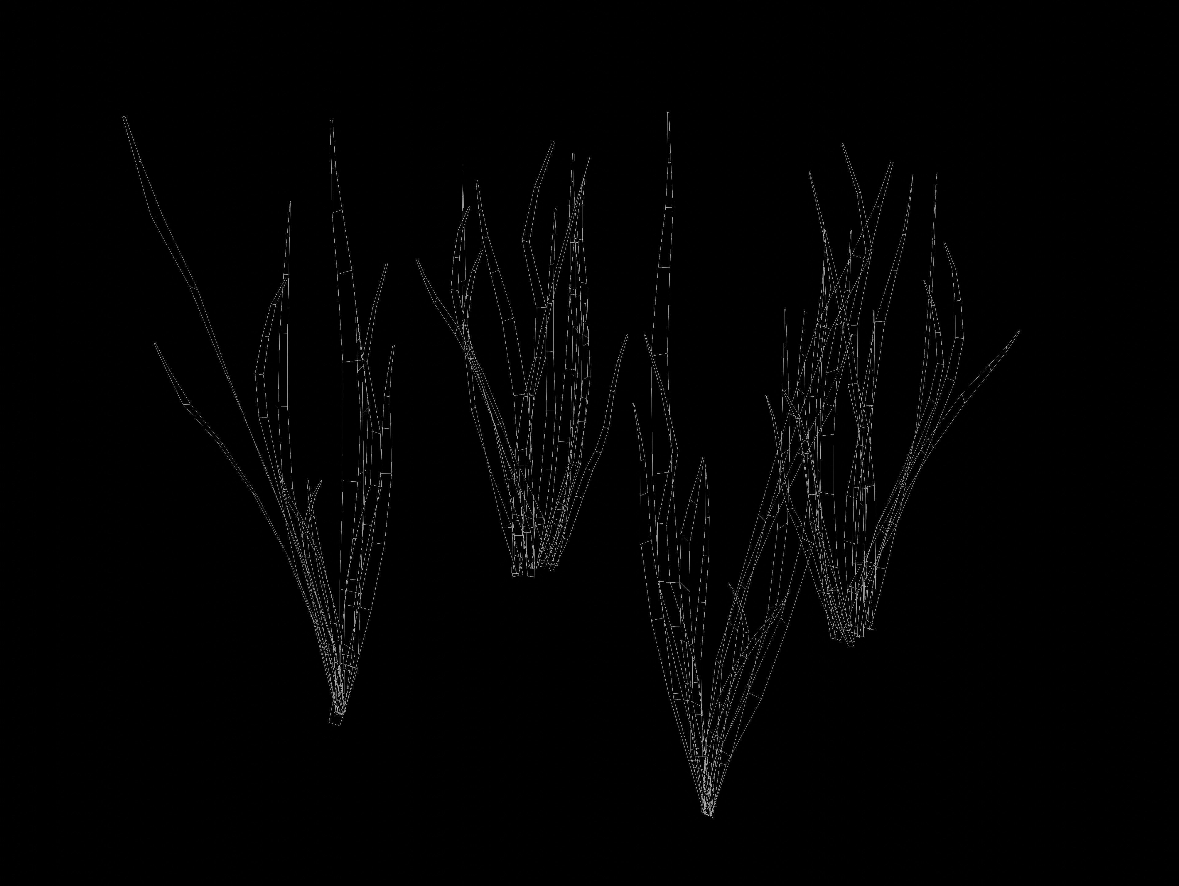 Cartoon Grass Animated Dry and Fresh Low-poly 3D model_7