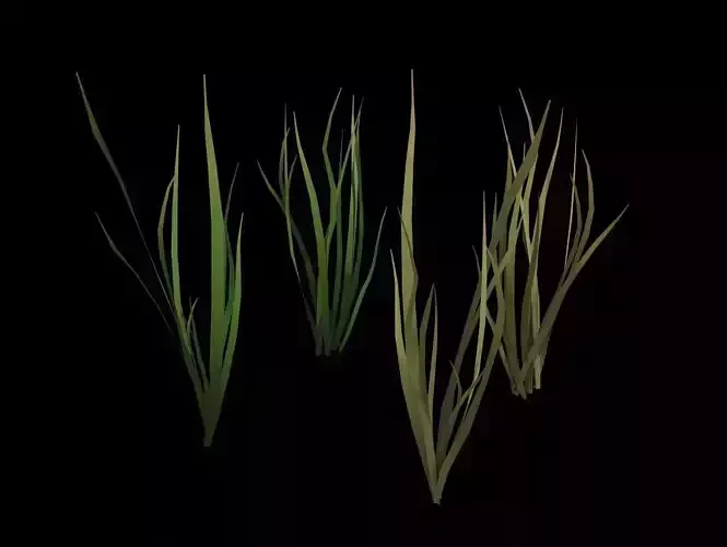 Grass Animated Dry and Fresh Low-poly 3D model