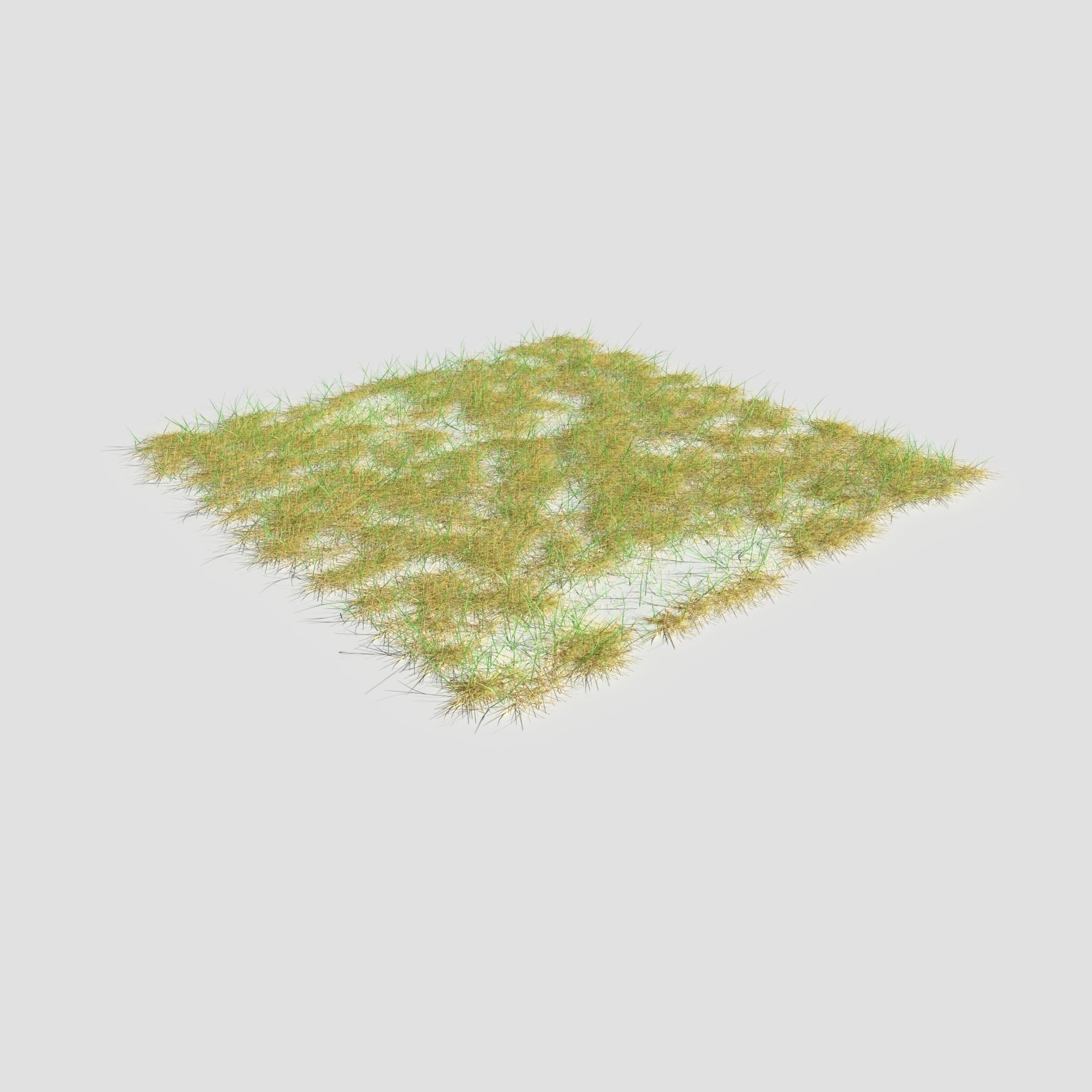 Meadow Patch Ashweed Dense and Free Gift 3D model_19