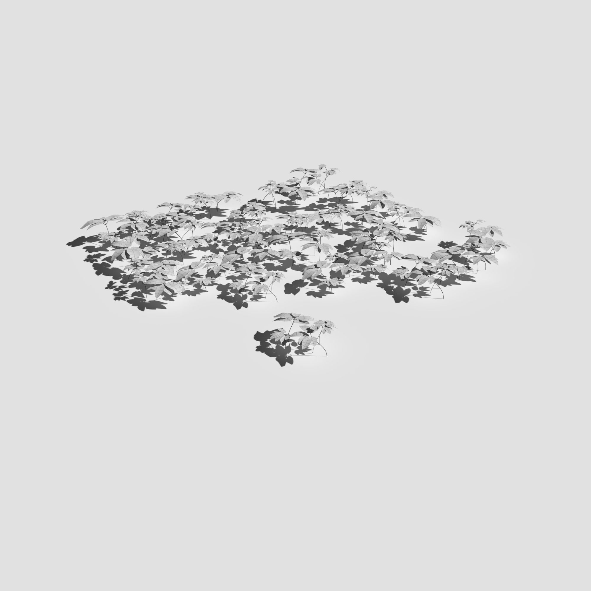 Meadow Patch Ashweed Dense and Free Gift 3D model_12