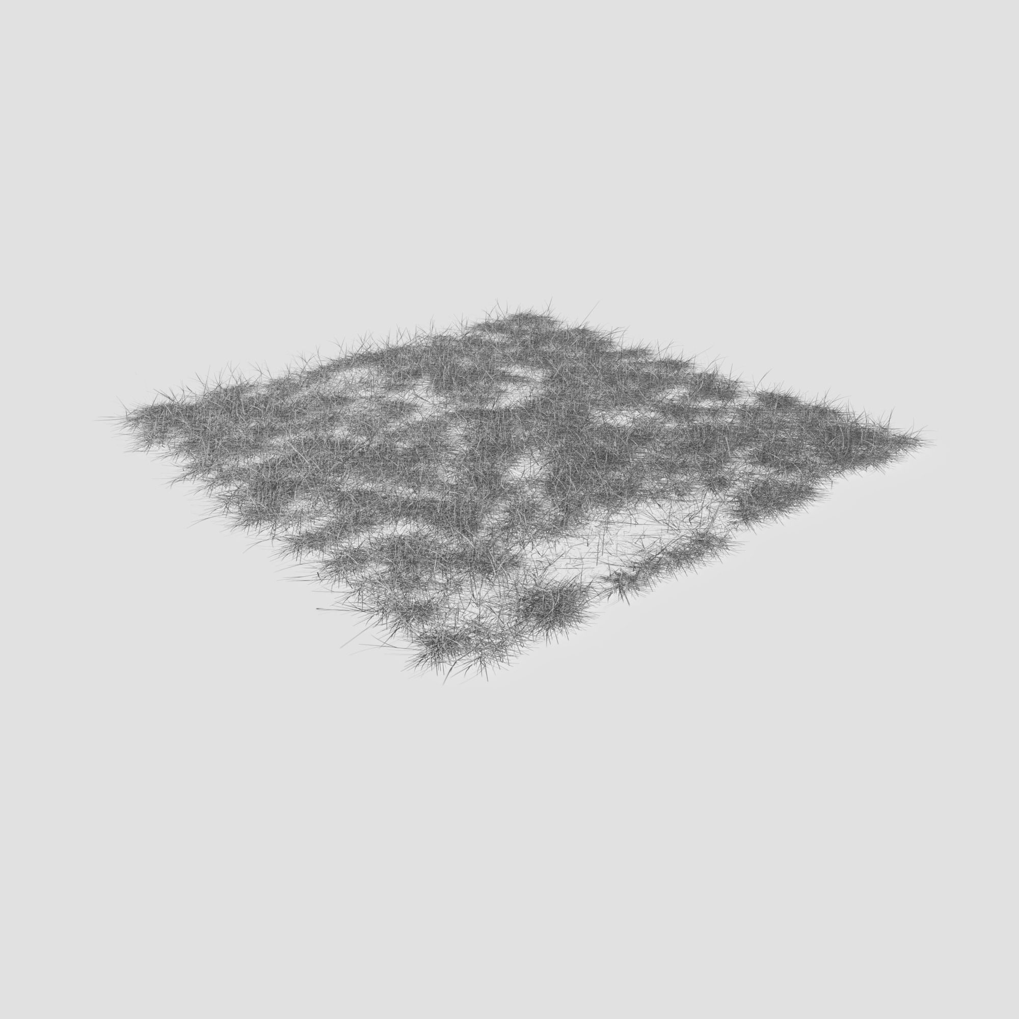 Meadow Patch Ashweed Dense and Free Gift 3D model_20