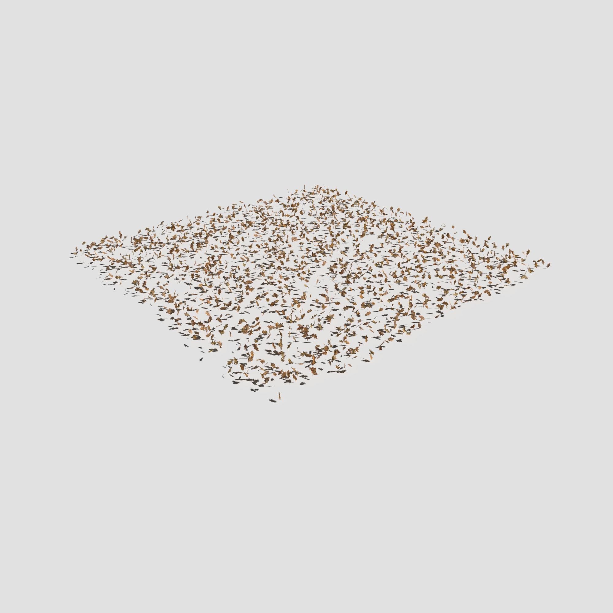 Meadow Patch Ashweed Dense and Free Gift 3D model_15