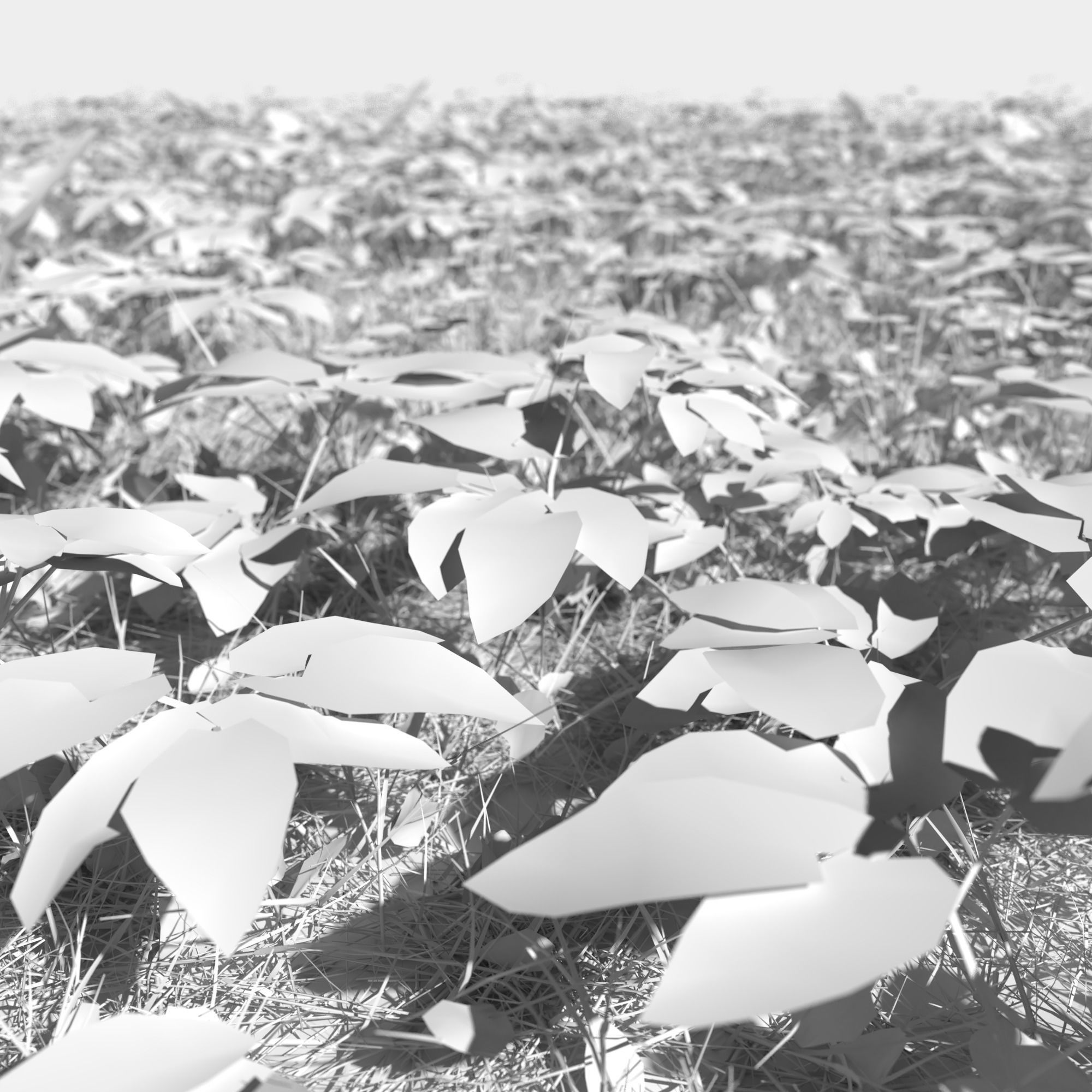 Meadow Patch Ashweed Dense and Free Gift 3D model_4