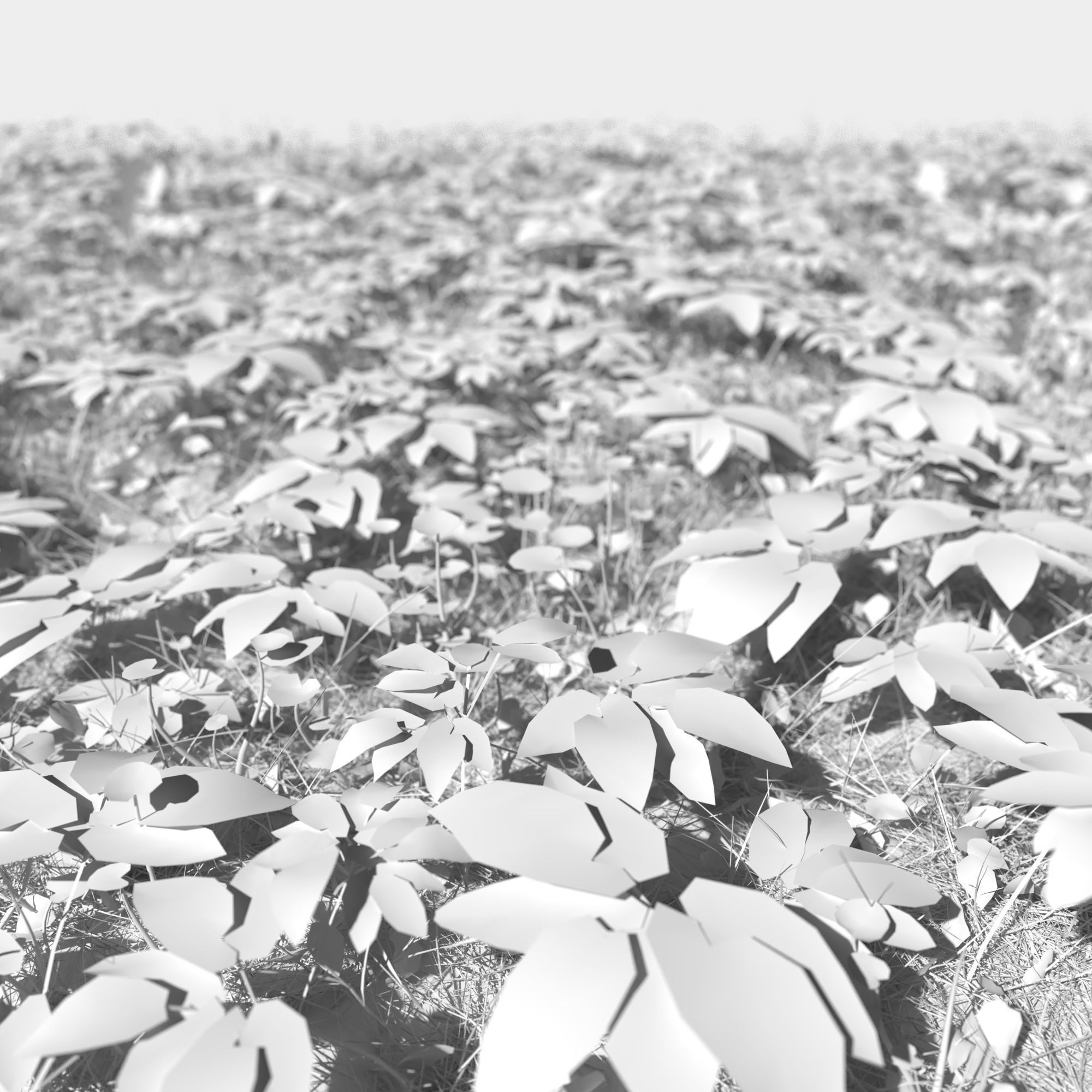 Meadow Patch Ashweed Dense and Free Gift 3D model_2