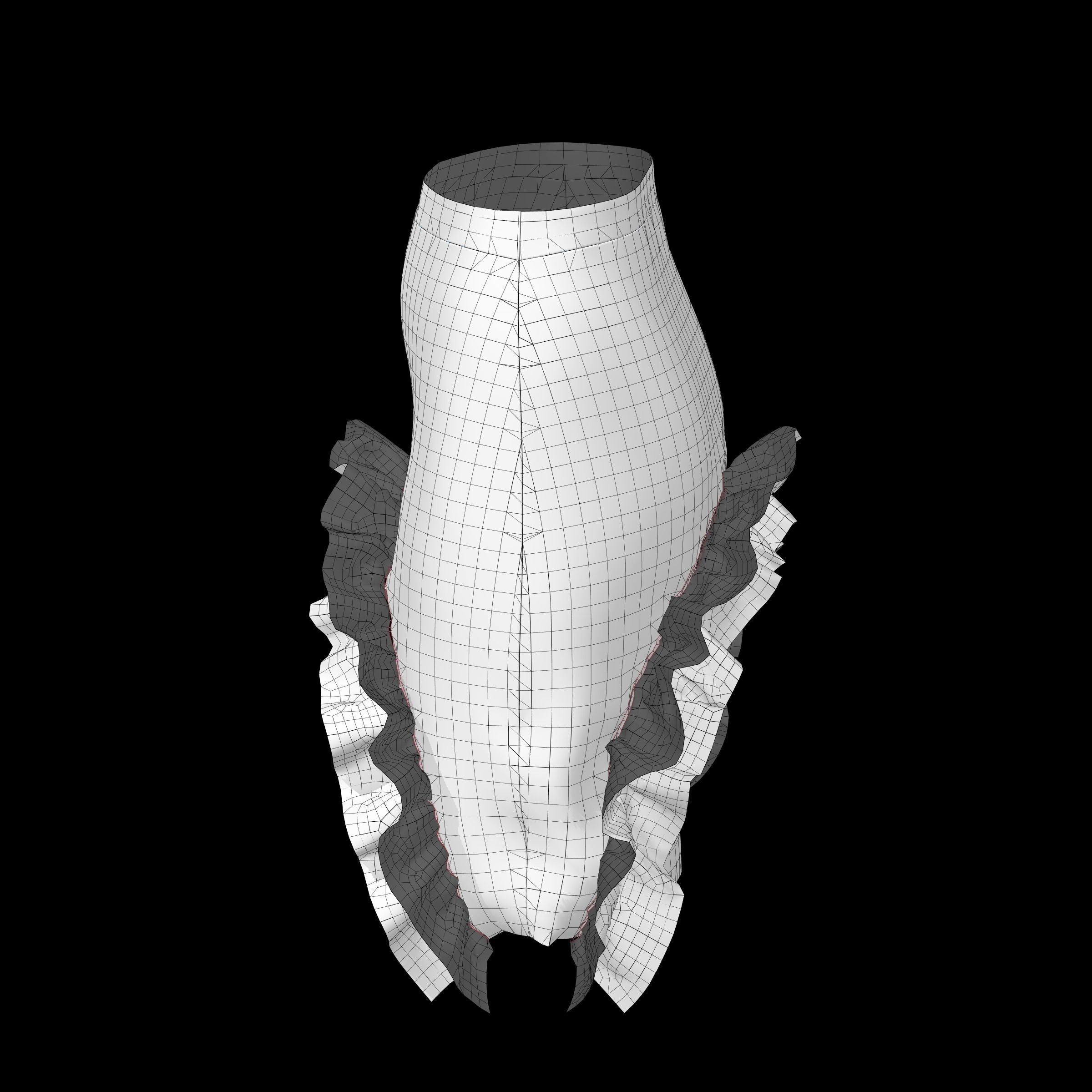 skirt 10 3D model_10