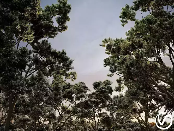 HeliosVegetation vol2 - Eucalyptus Vray 3D model