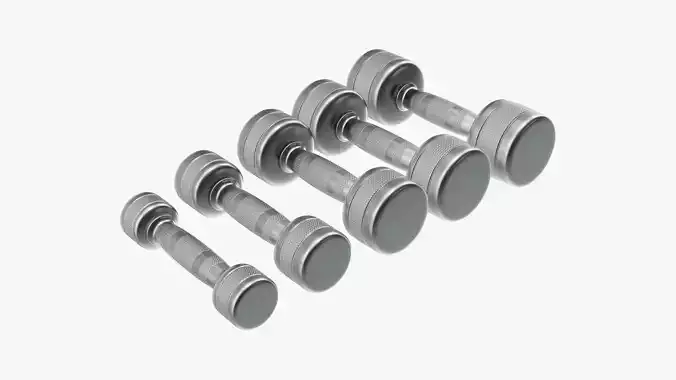 Dumbbell set chrome 3D model