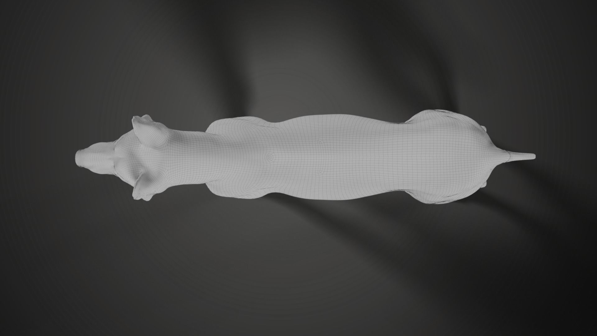 German Shepherd Rigged 3D model_19