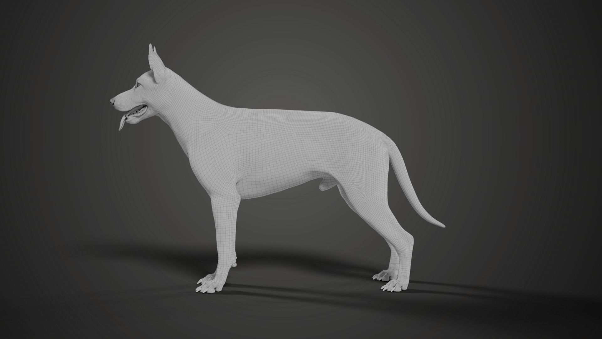 German Shepherd Rigged 3D model_17