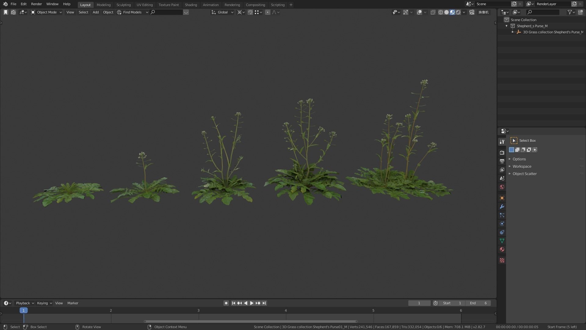Shepherds Purse Low-poly 3D model_4