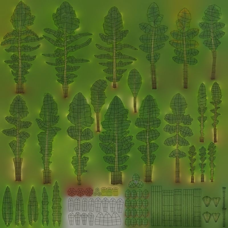 Shepherds Purse Low-poly 3D model_6