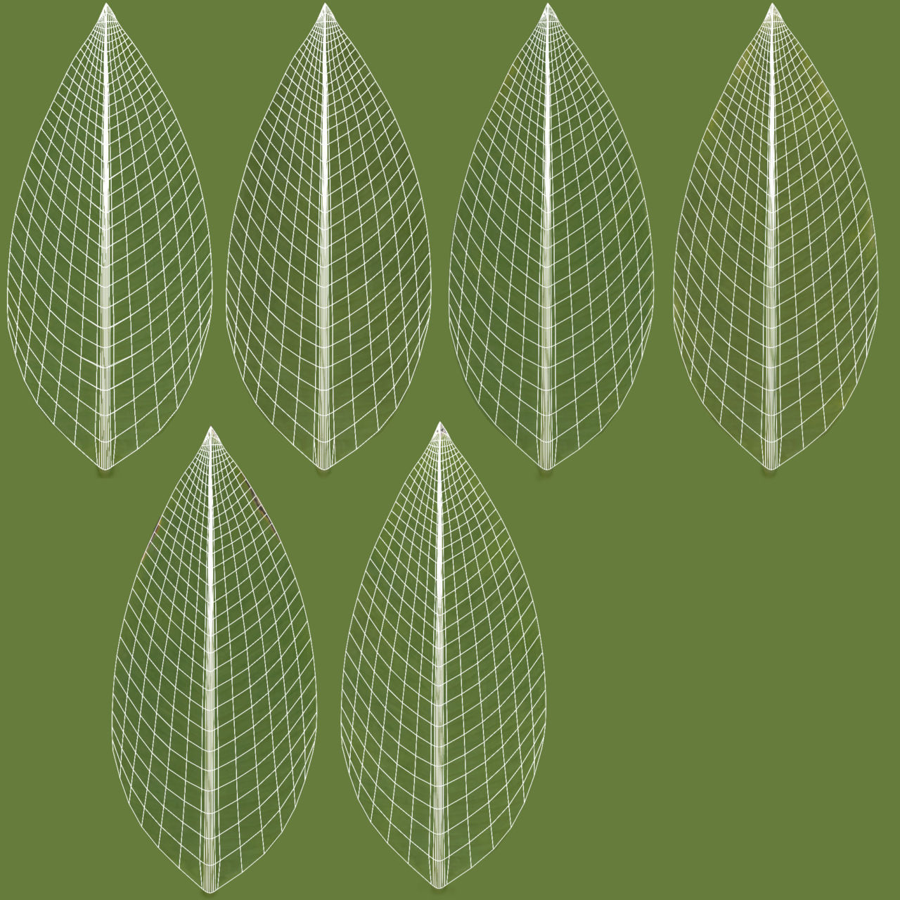 3D pot plant PeaceLily 3D model_15