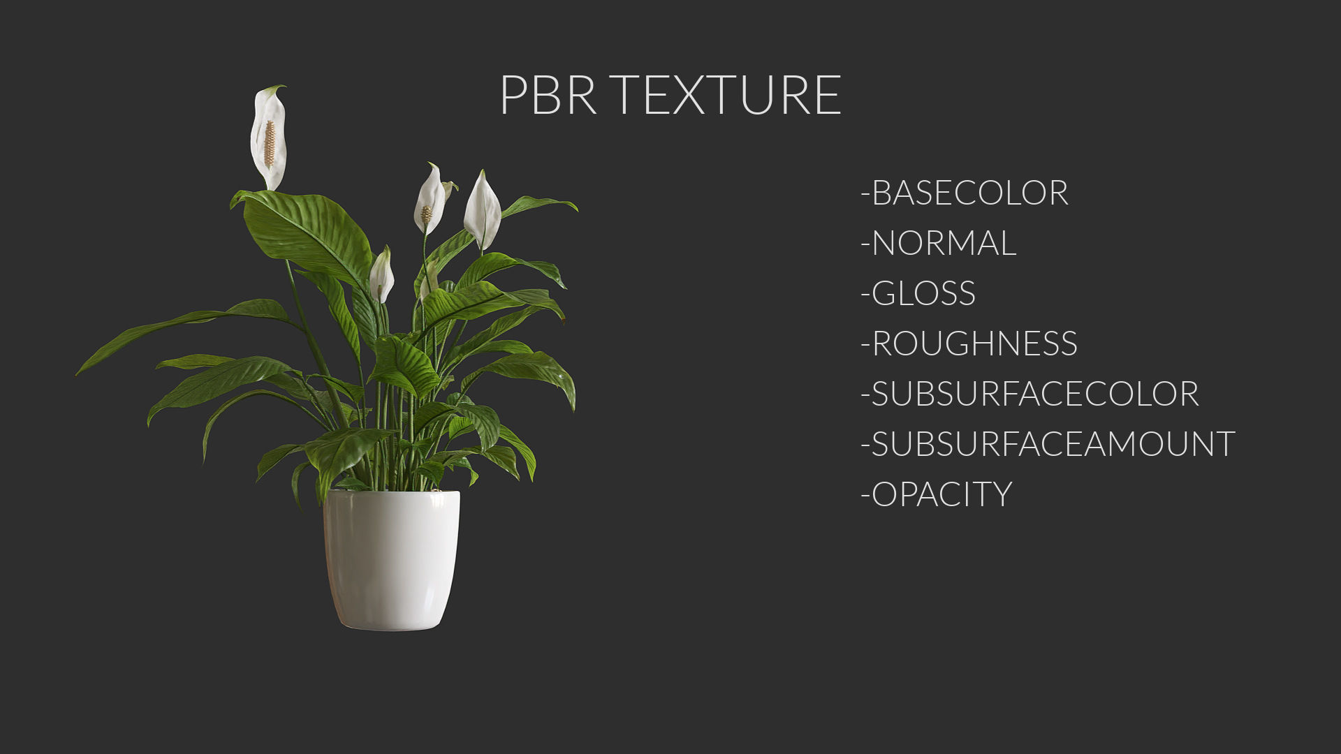 3D pot plant PeaceLily 3D model_5