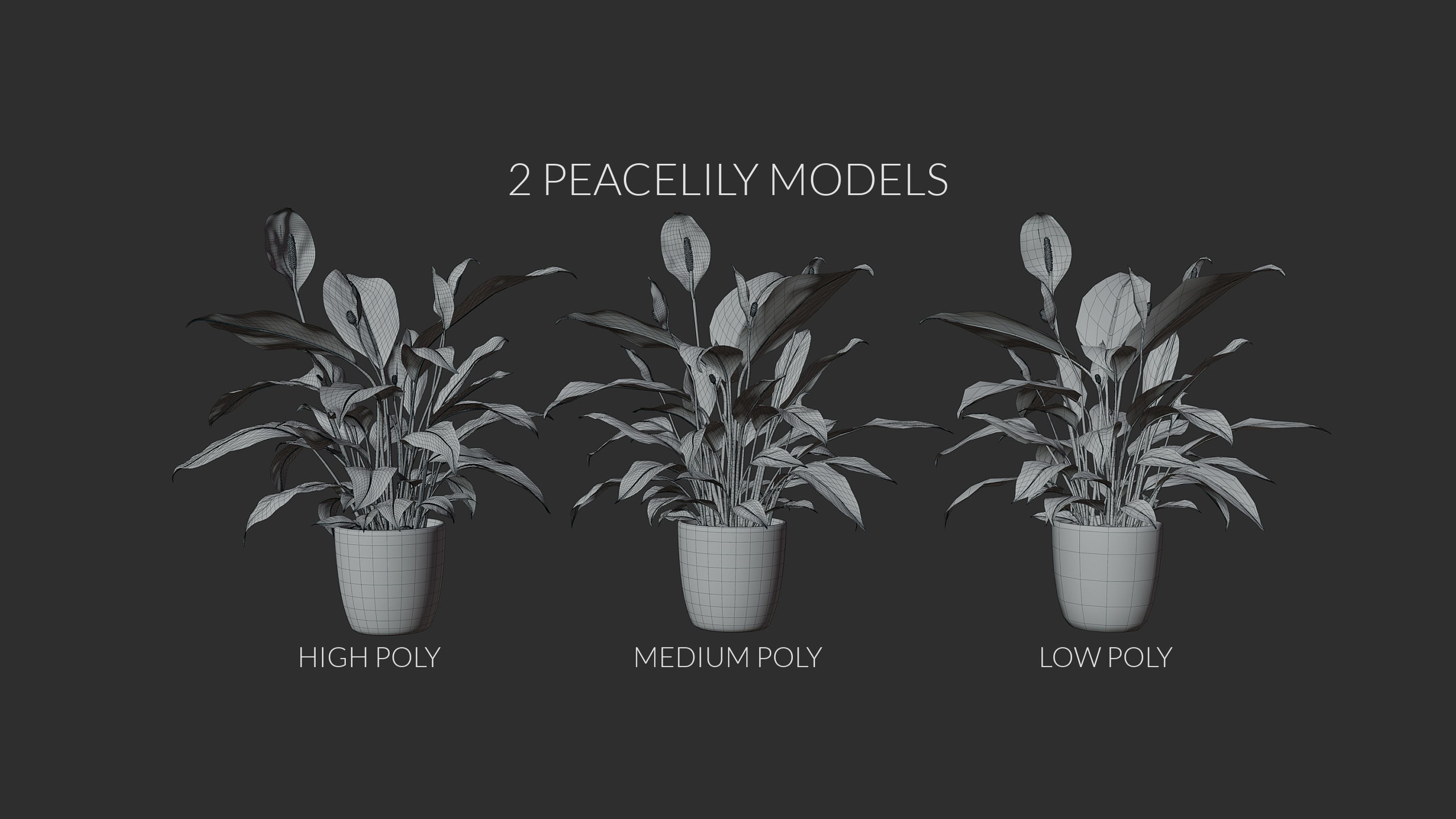 3D pot plant PeaceLily 3D model_7