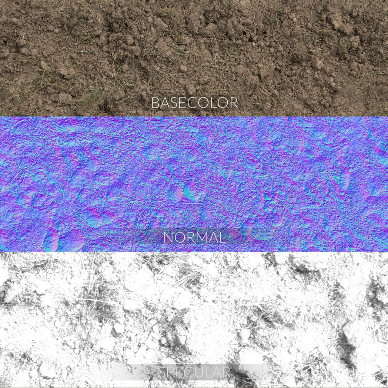 3D pot plant PeaceLily 3D model_12