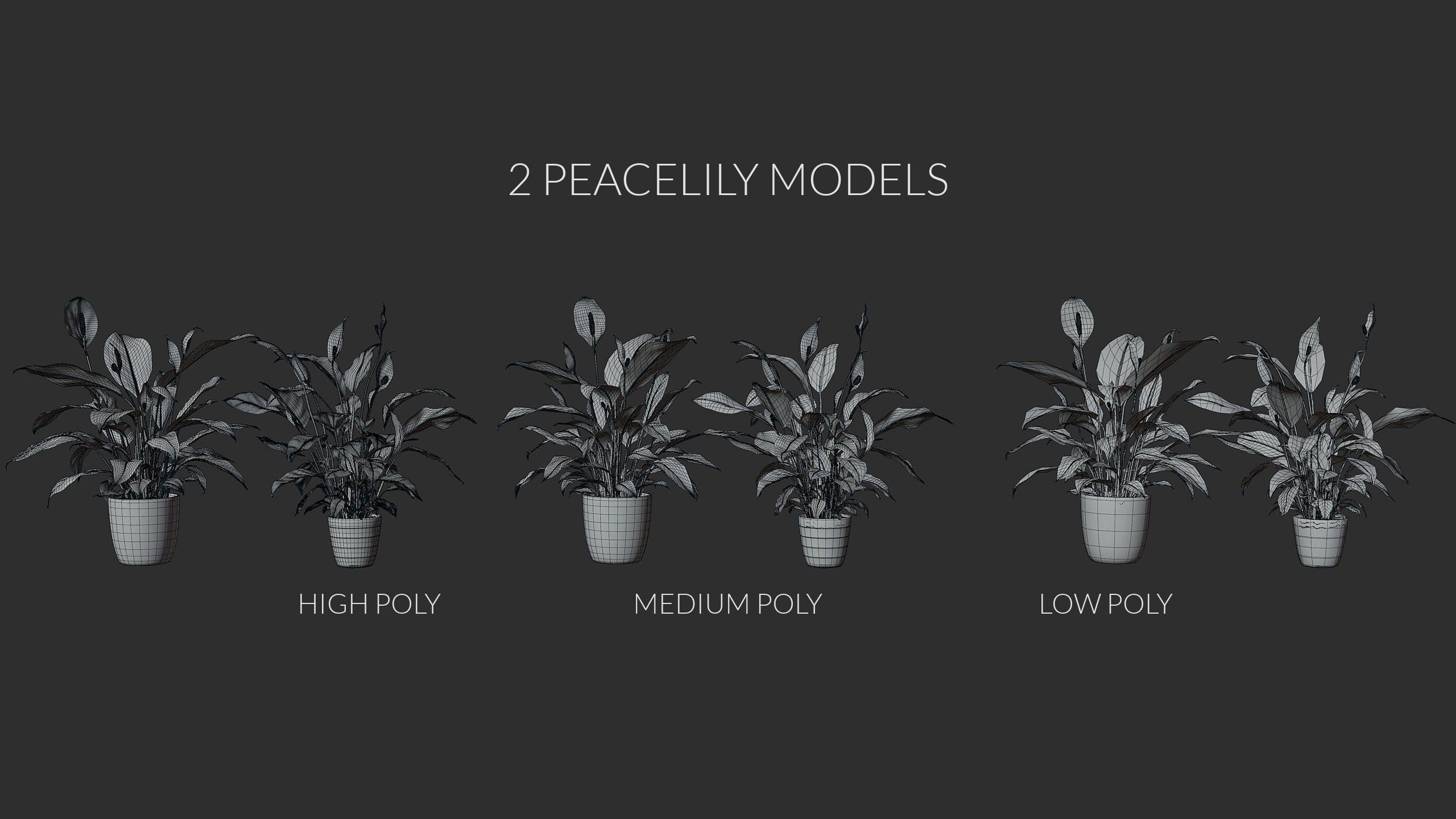 3D pot plant PeaceLily 3D model_6