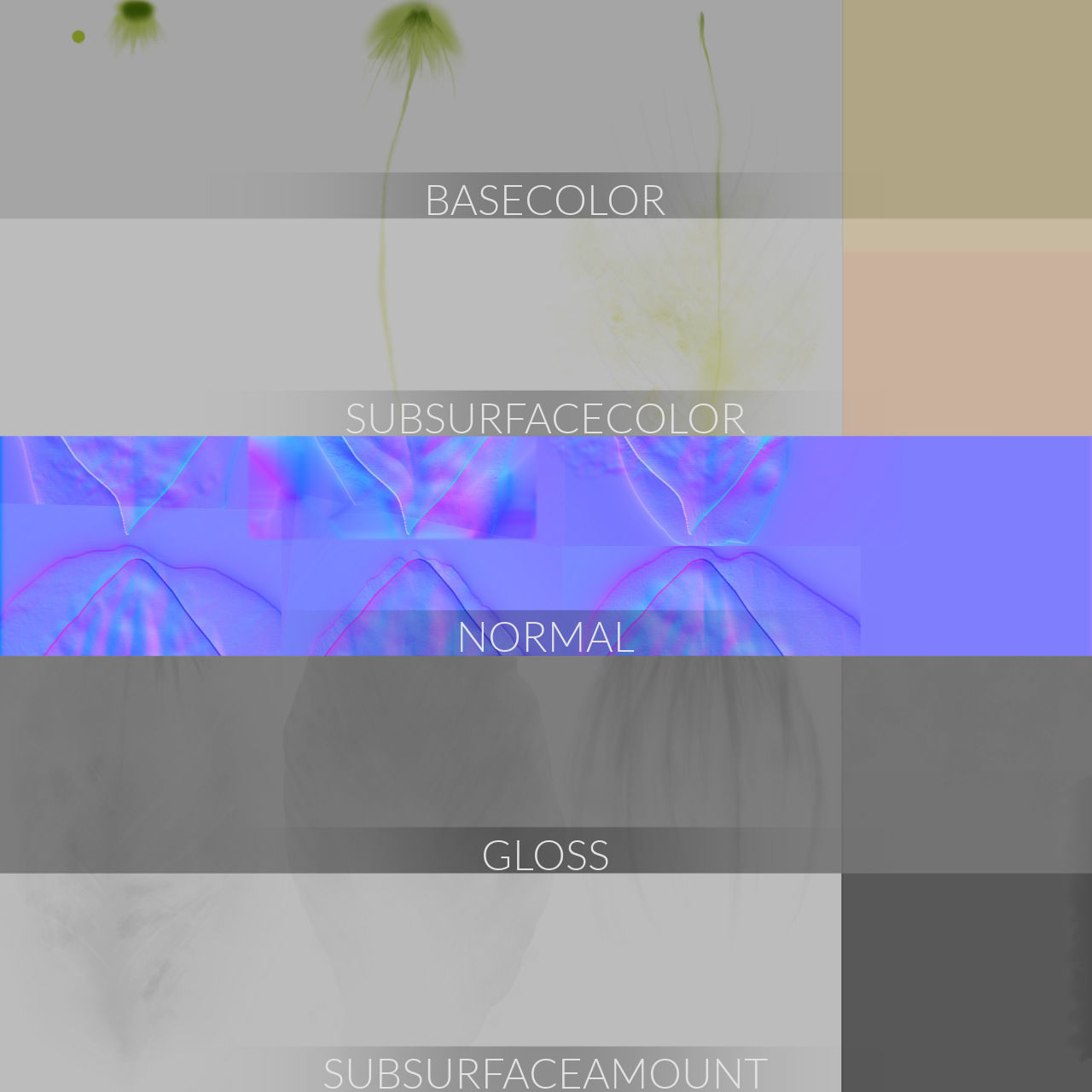 3D pot plant PeaceLily 3D model_9