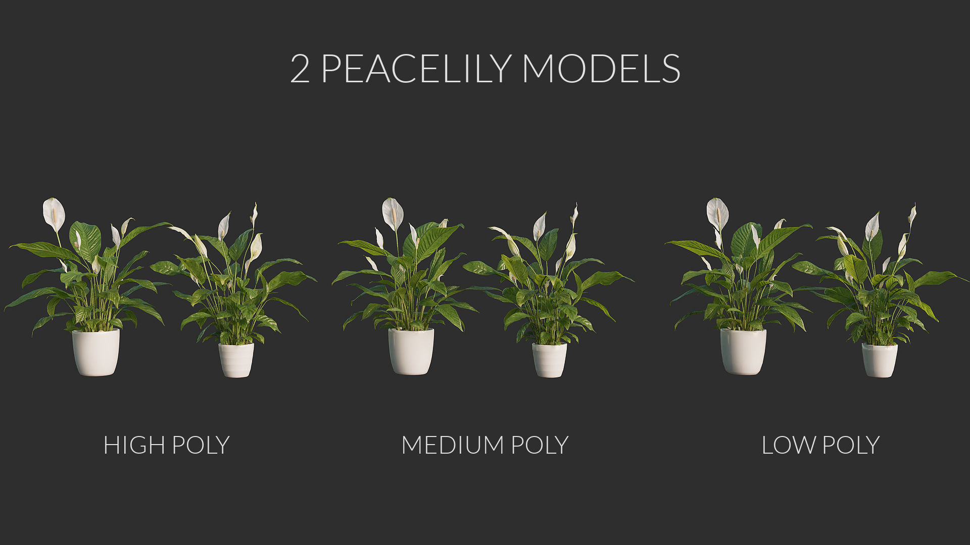 3D pot plant PeaceLily 3D model_4
