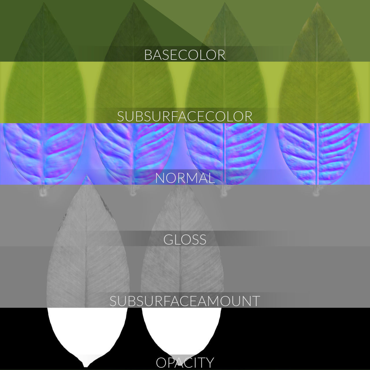 3D pot plant PeaceLily 3D model_10