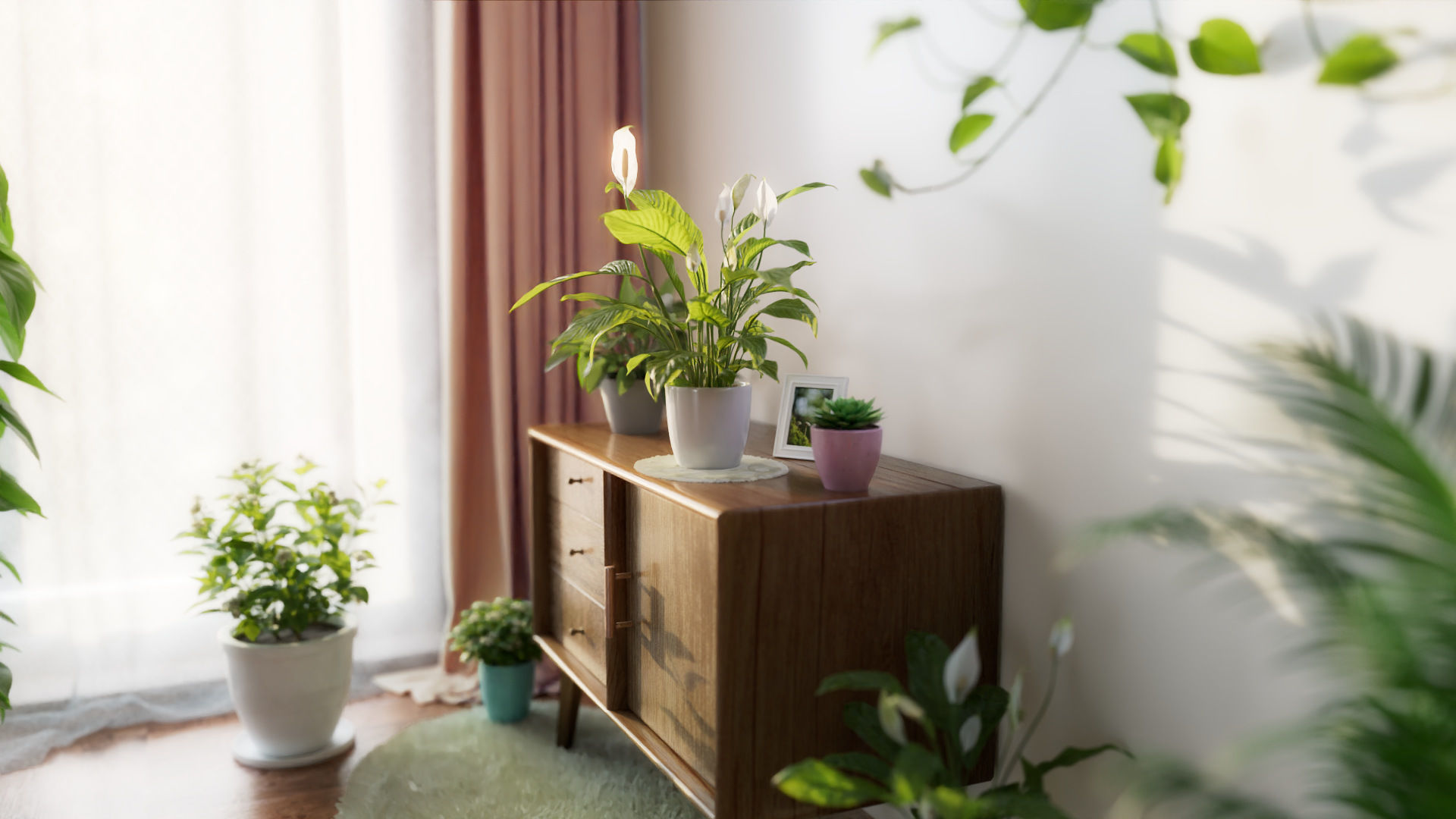 3D pot plant PeaceLily 3D model_1