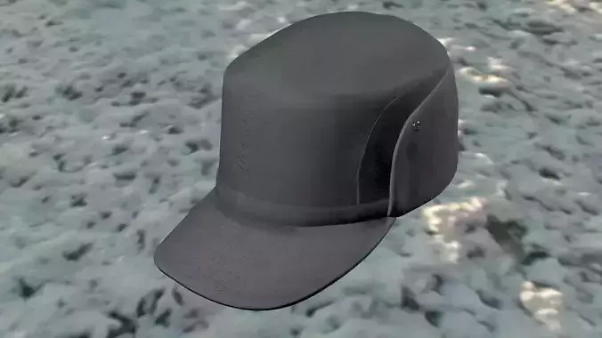 Winter Cap Package 3D print model