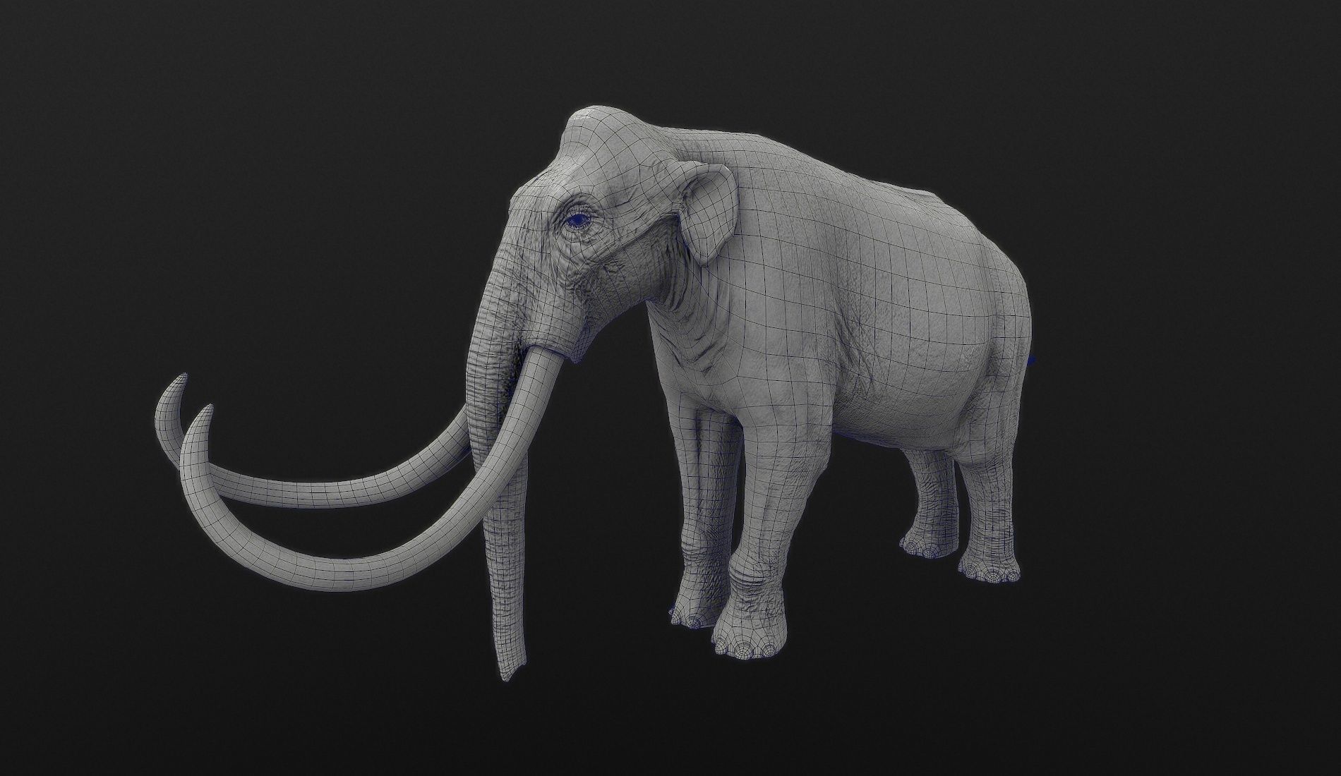 Extinct animals pack version 14 Low-poly 3D model_5