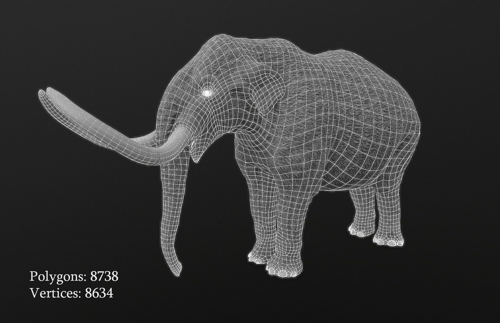 Extinct animals pack version 14 Low-poly 3D model_144