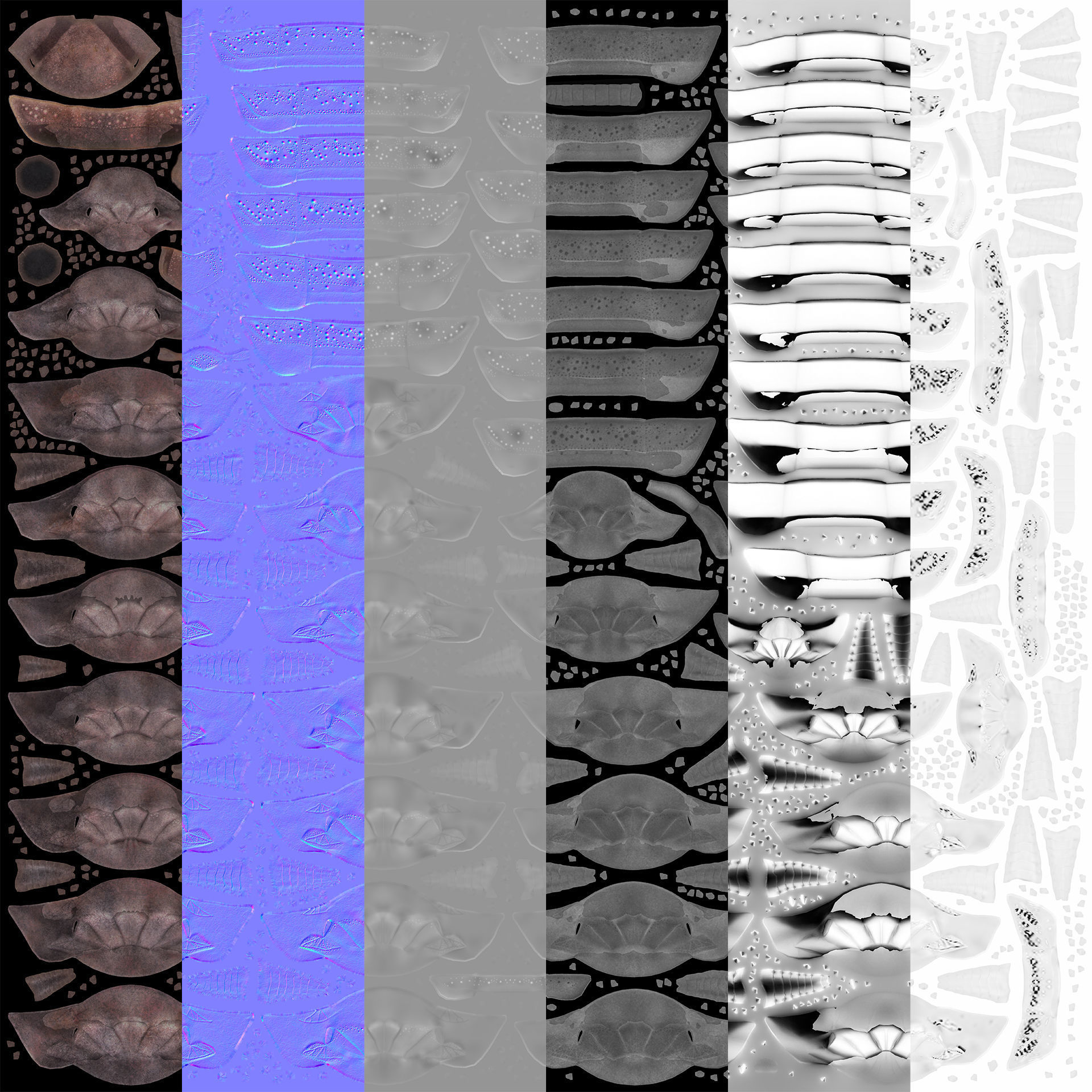 Extinct animals pack version 14 Low-poly 3D model_99