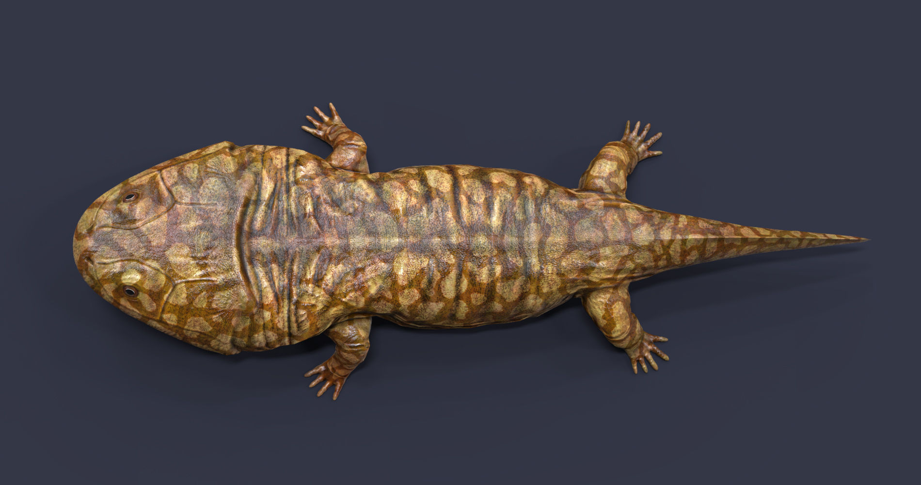 Extinct animals pack version 14 Low-poly 3D model_112