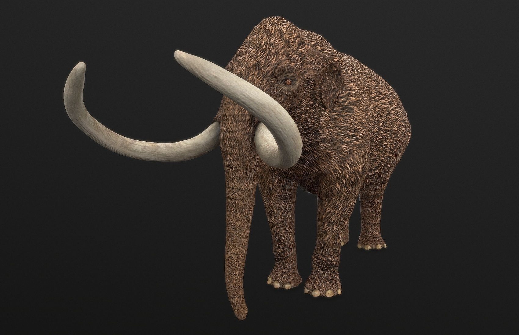 Extinct animals pack version 14 Low-poly 3D model_143