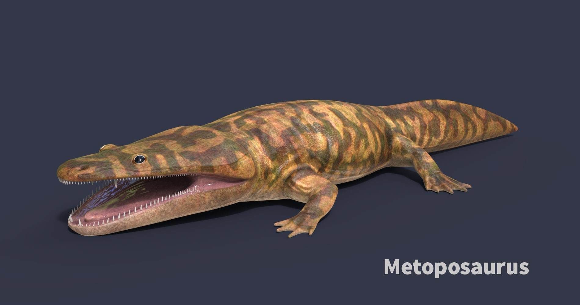 Extinct animals pack version 14 Low-poly 3D model_107