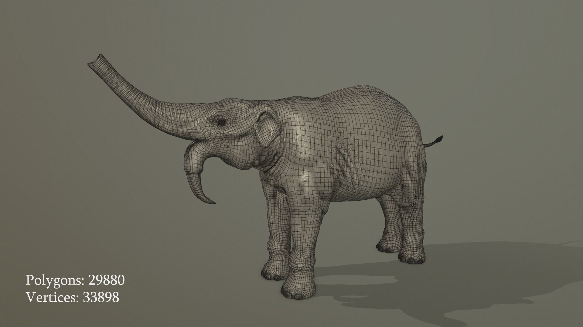 Extinct animals pack version 14 Low-poly 3D model_149