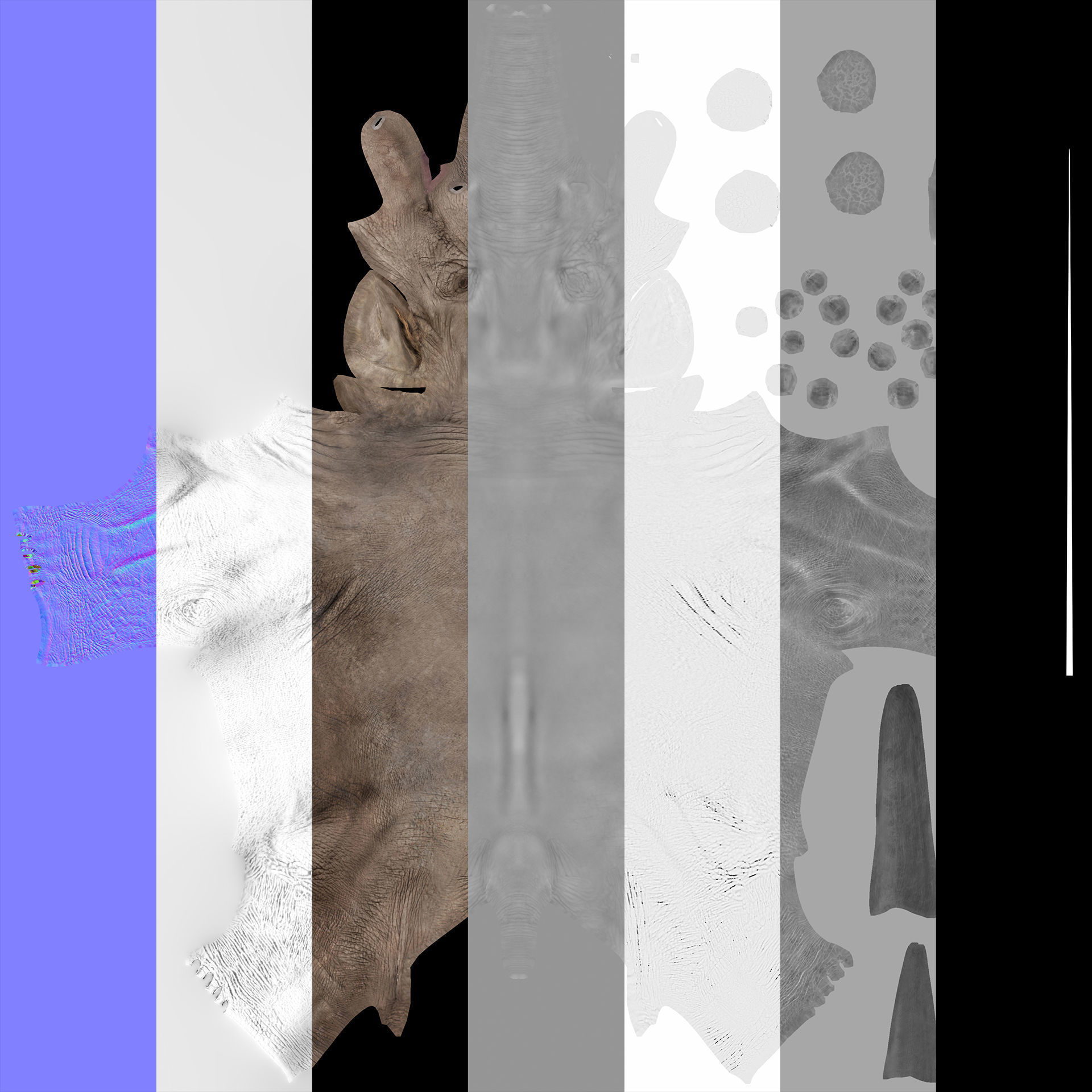 Extinct animals pack version 14 Low-poly 3D model_14