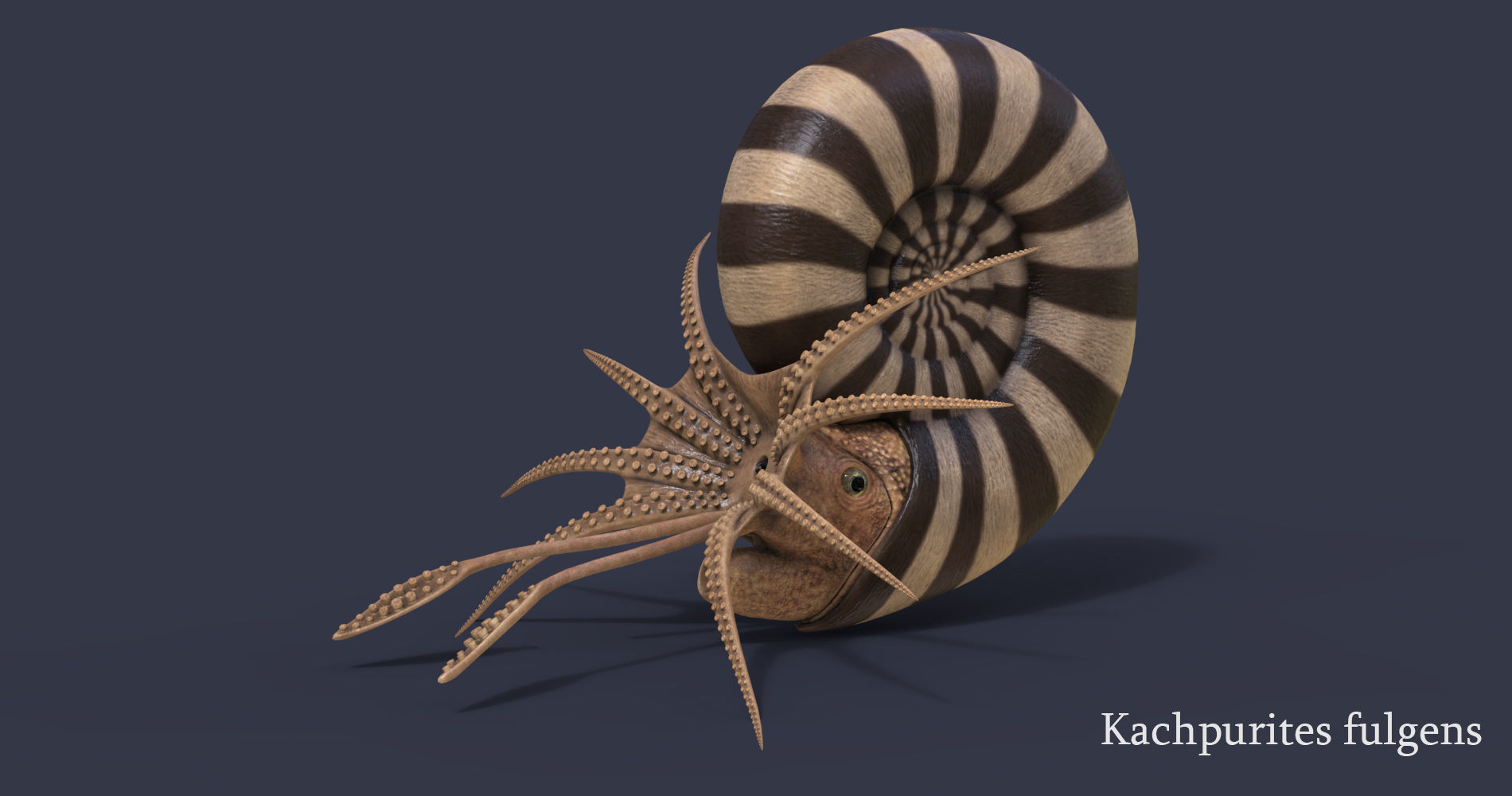 Extinct animals pack version 14 Low-poly 3D model_19