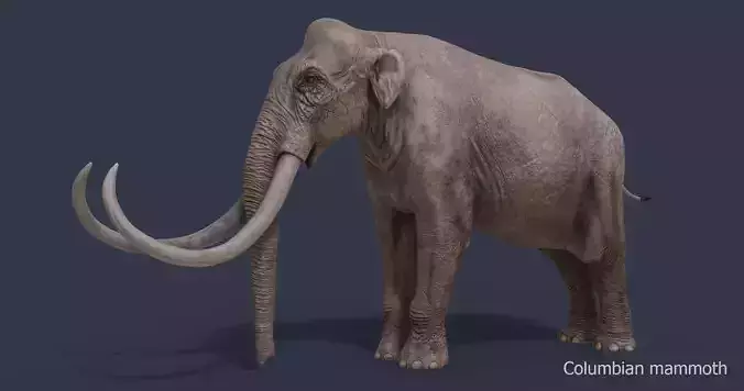 Extinct animals pack version 14 Low-poly 3D model