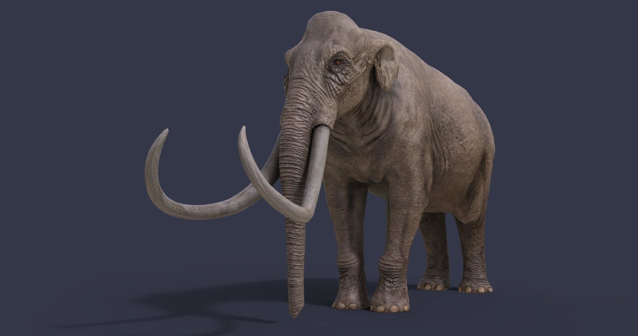 Extinct animals pack version 14 Low-poly 3D model_2