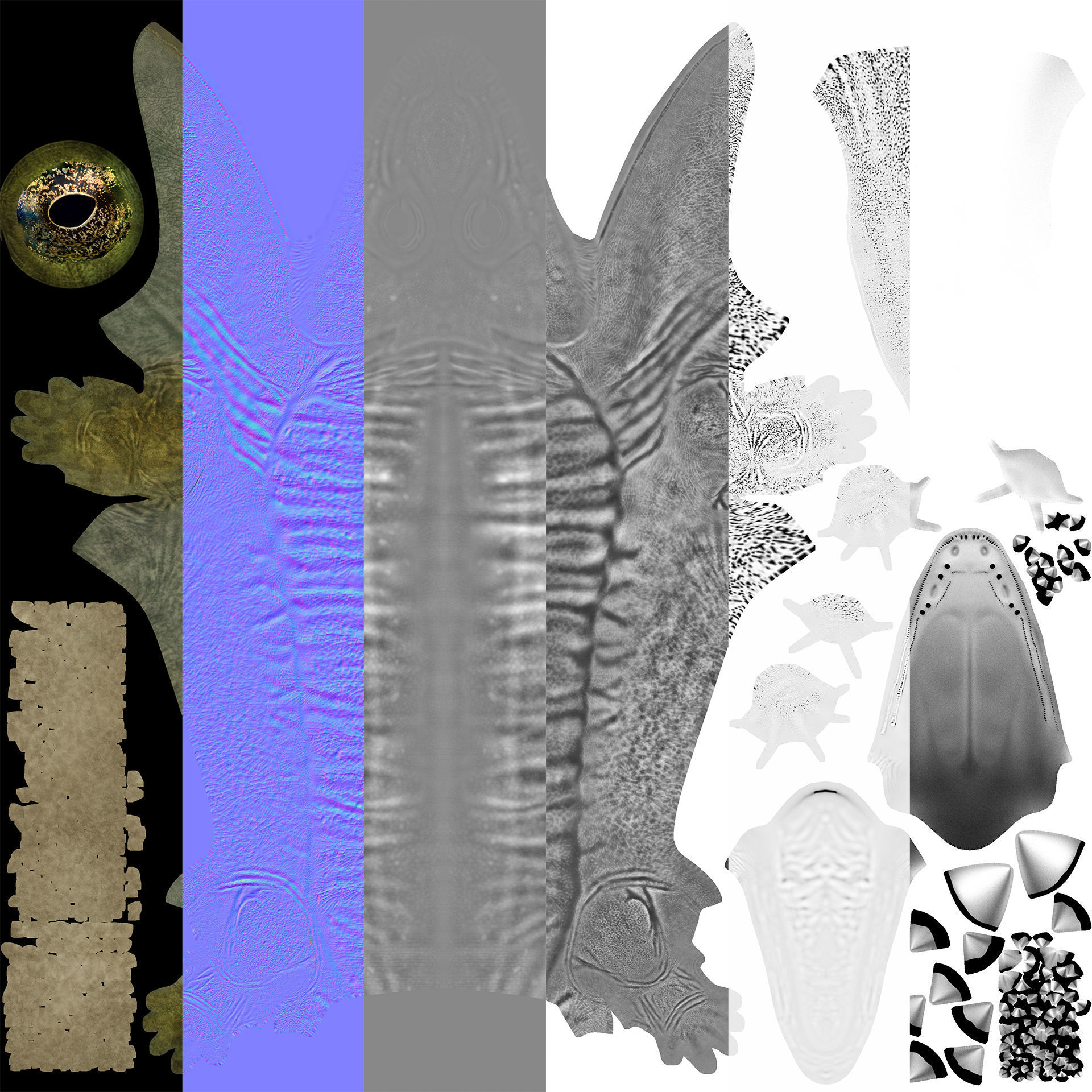 Extinct animals pack version 14 Low-poly 3D model_128