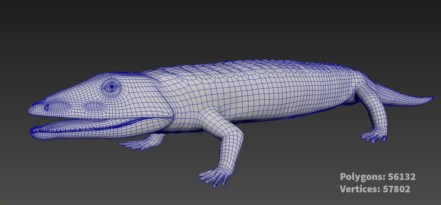 Extinct animals pack version 14 Low-poly 3D model_124