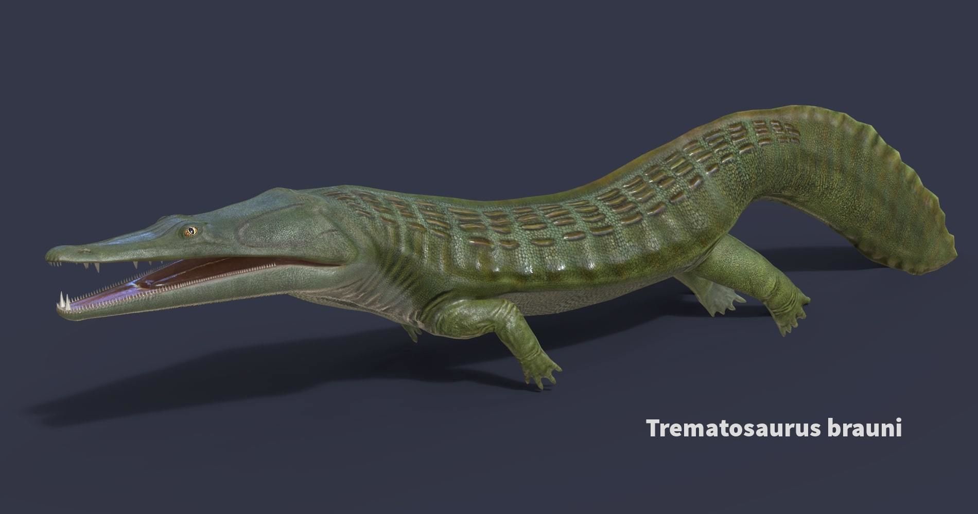 Extinct animals pack version 14 Low-poly 3D model_118