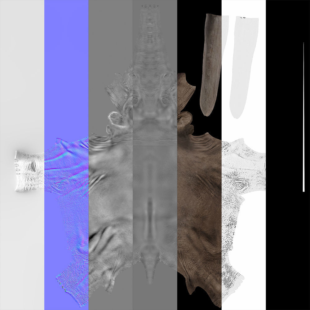 Extinct animals pack version 14 Low-poly 3D model_6