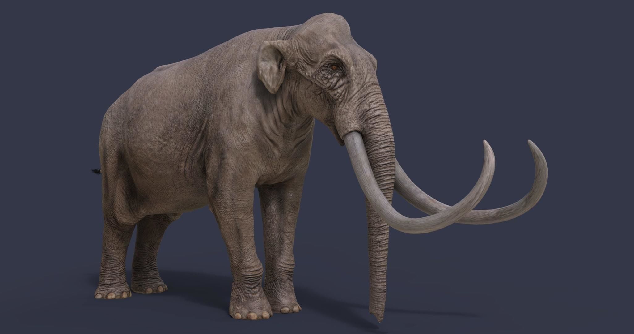 Extinct animals pack version 14 Low-poly 3D model_4