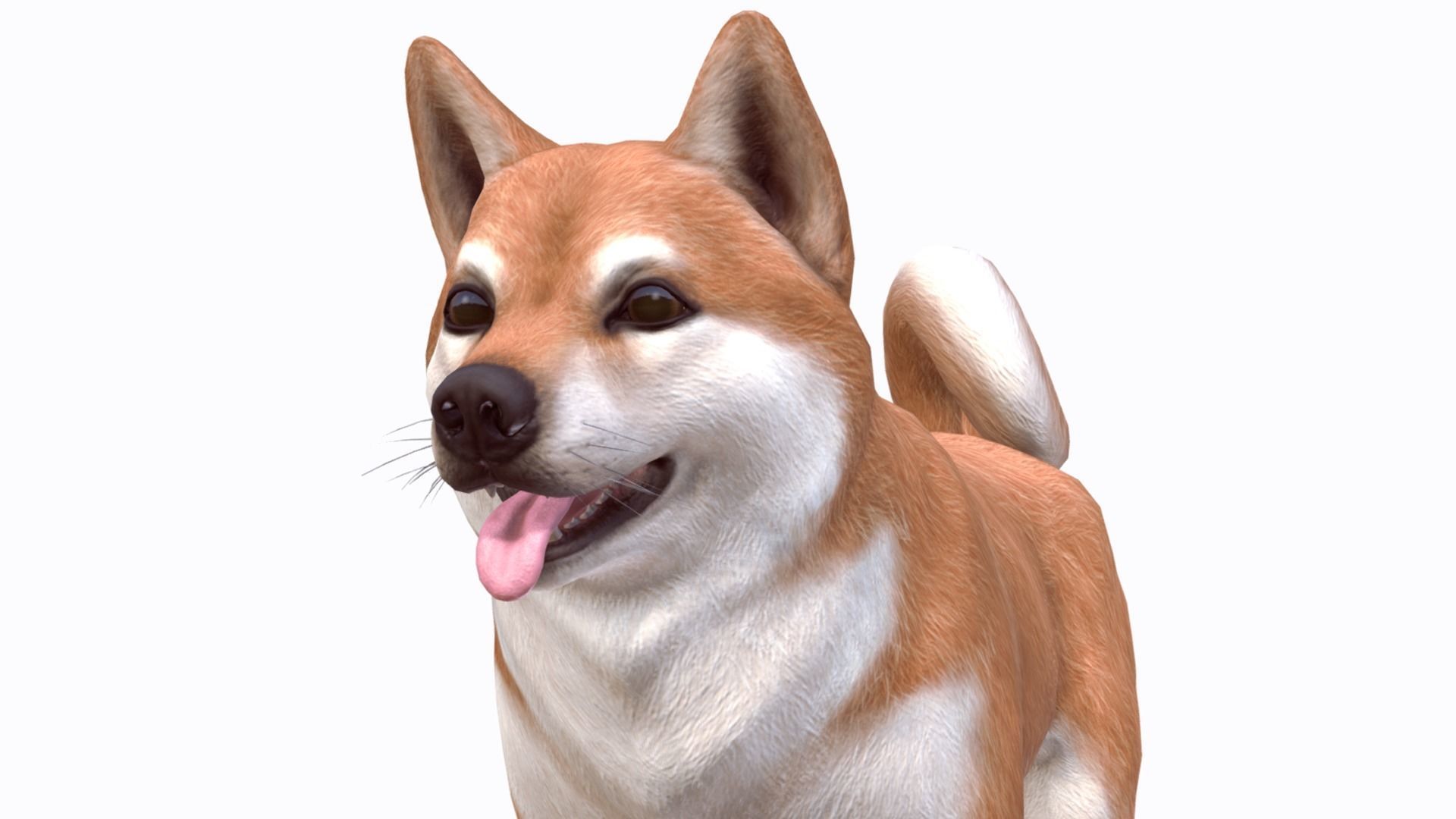 Dog - Akita Inu Low-poly 3D model_3