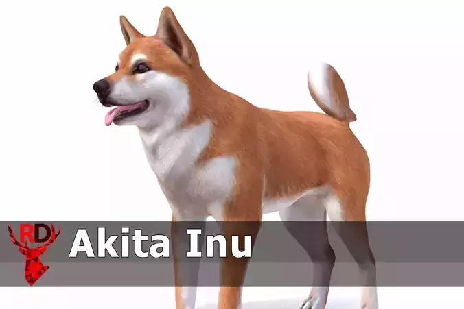 Dog - Akita Inu Low-poly 3D model