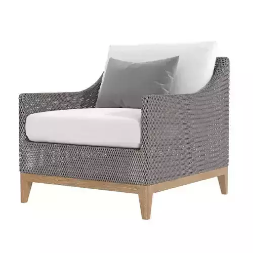 Restoration Hardware PARAISO LOUNGE CHAIR