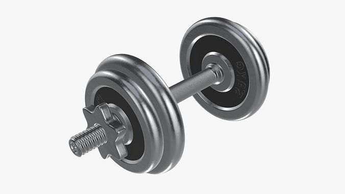 Dumbbell handle and weights 3D model