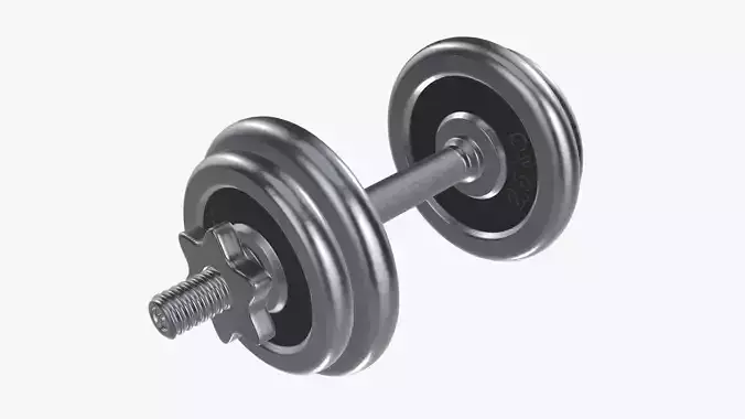 Dumbbell handle and weights 3D model